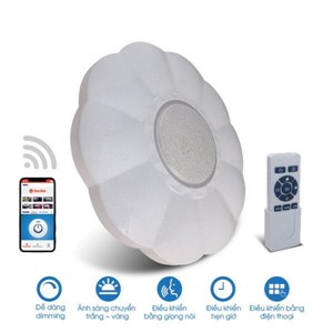 Đèn LED Ốp Trần Smart Wifi 48W Rạng Đông
